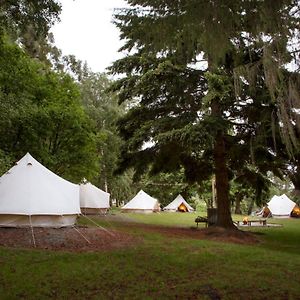 Maude Rise Bell Tent